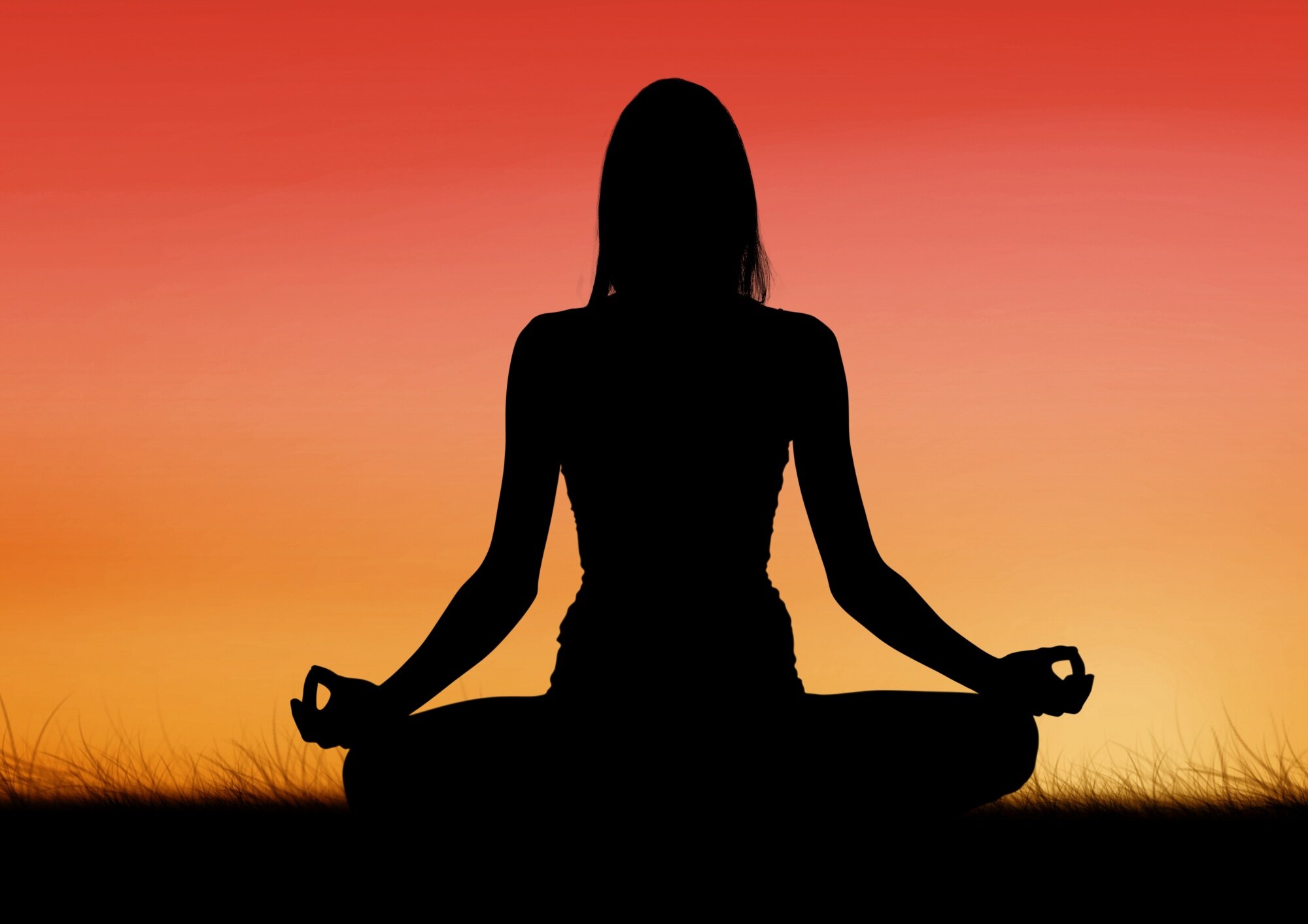 Reiki Level 4 ~ Reiki Master